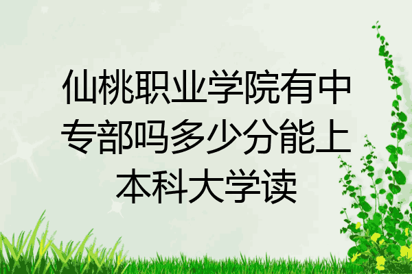 仙桃职业学院有中专部吗多少分能上本科大学读
