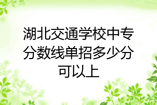 湖北交通学校中专分数线单招多少分可以上