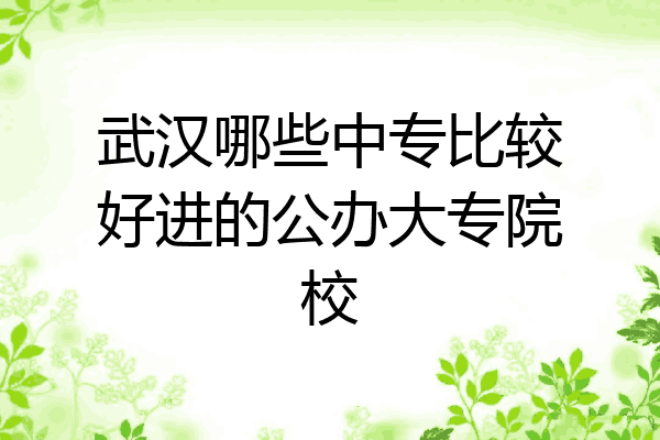 武汉哪些中专比较好进的公办大专院校