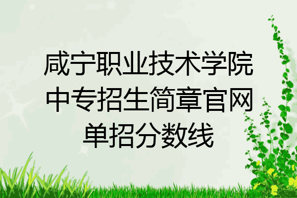 咸宁职业技术学院中专招生简章官网单招分数线