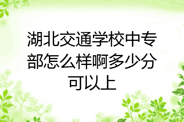 湖北交通学校中专部怎么样啊多少分可以上
