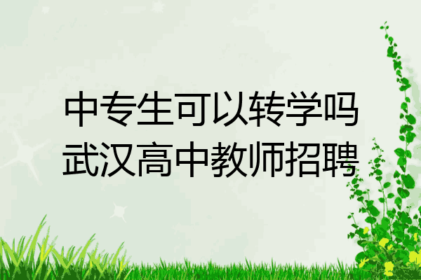 中专生可以转学吗武汉高中教师招聘