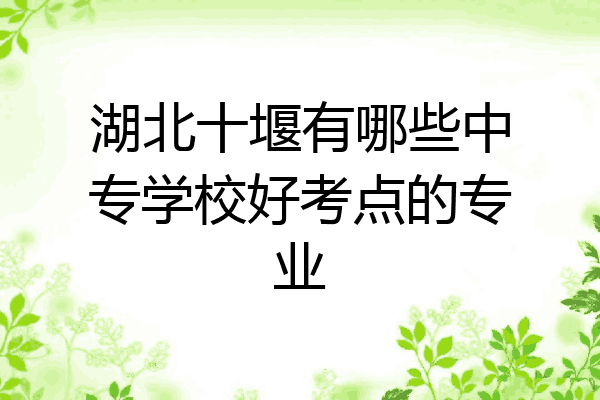 湖北十堰有哪些中专学校好考点的专业