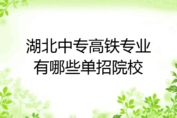 湖北中专高铁专业有哪些单招院校