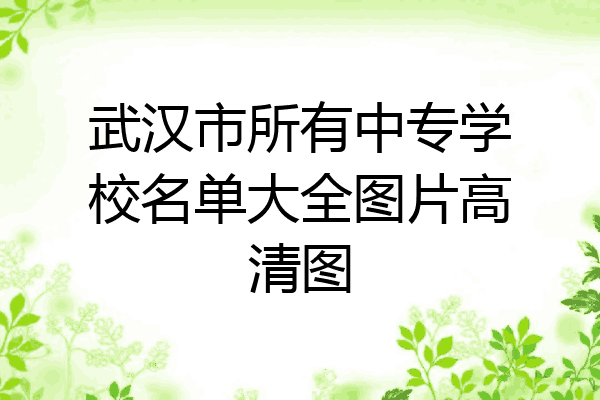 武汉市所有中专学校名单大全图片高清图