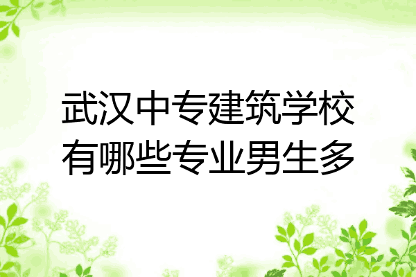 武汉中专建筑学校有哪些专业男生多