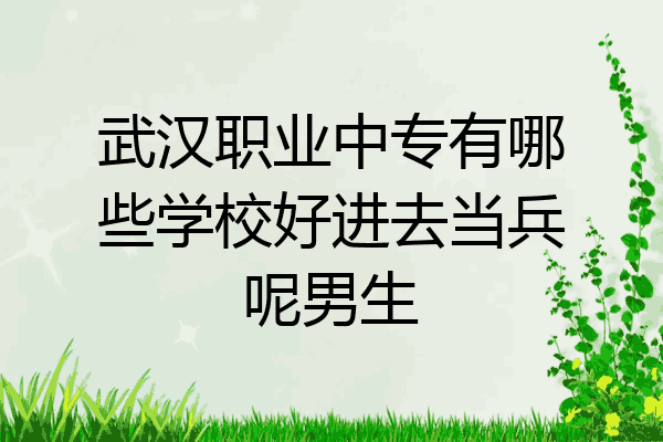 武汉职业中专有哪些学校好进去当兵呢男生