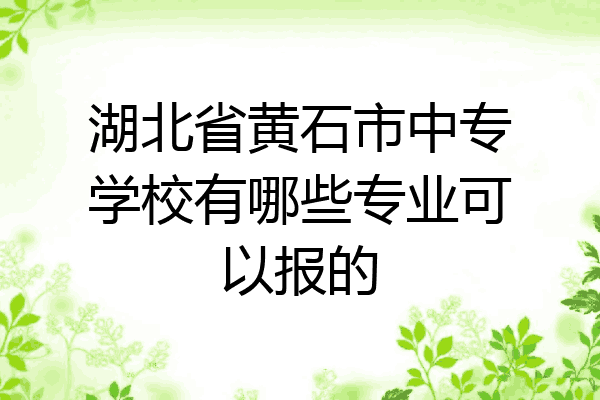 湖北省黄石市中专学校有哪些专业可以报的
