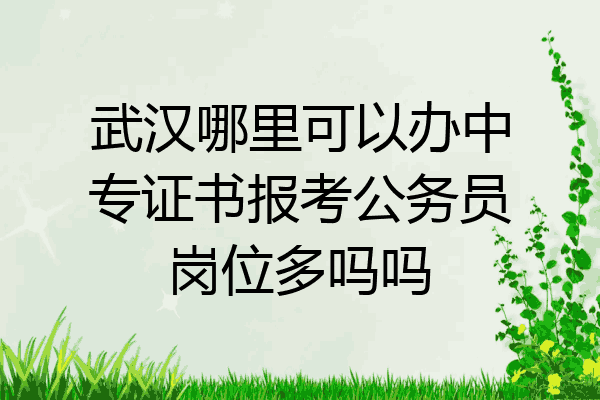 武汉哪里可以办中专证书报考公务员岗位多吗吗