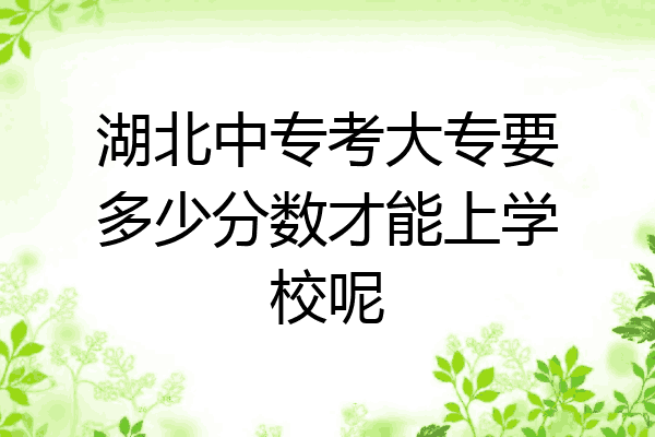 湖北中专考大专要多少分数才能上学校呢