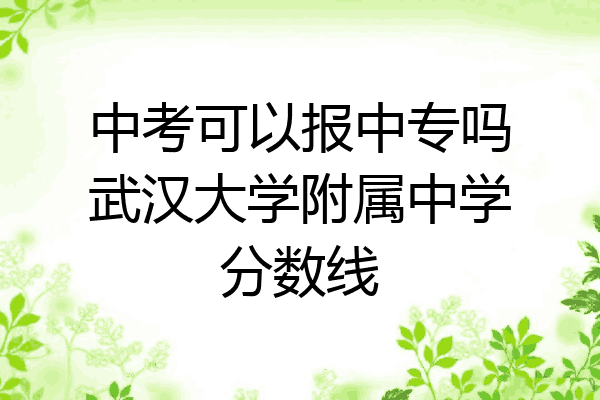 中考可以报中专吗武汉大学附属中学分数线