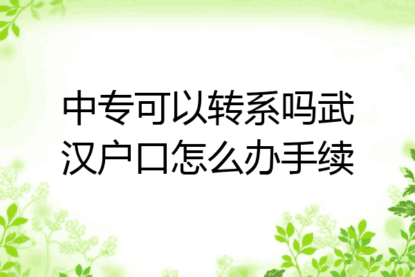 中专可以转系吗武汉户口怎么办手续