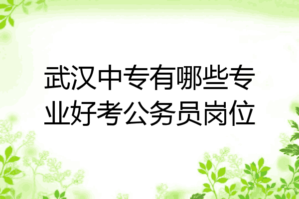 武汉中专有哪些专业好考公务员岗位