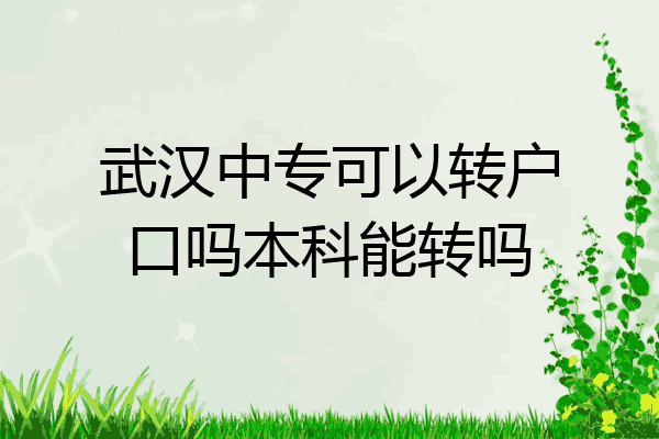 武汉中专可以转户口吗本科能转吗
