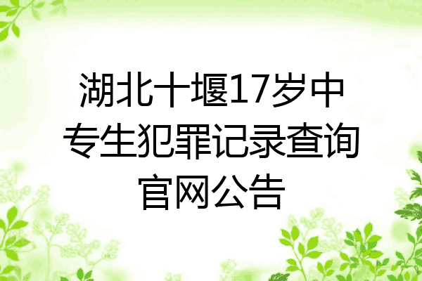 湖北十堰17岁中专生犯罪记录查询官网公告