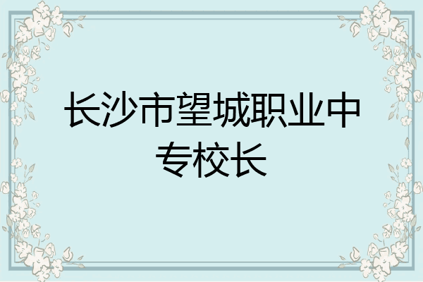 长沙市望城职业中专校长