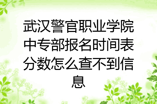武汉警官职业学院中专部报名时间表分数怎么查不到信息