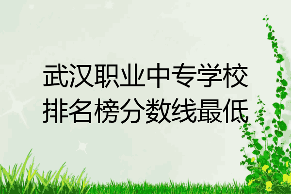 武汉职业中专学校排名榜分数线最低
