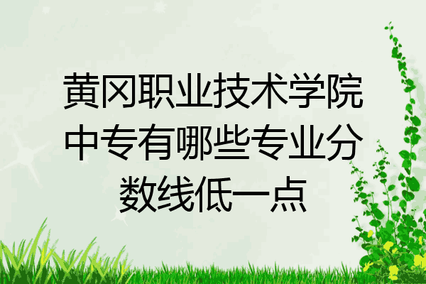 黄冈职业技术学院中专有哪些专业分数线低一点
