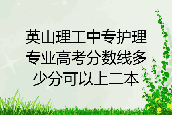 英山理工中专护理专业高考分数线多少分可以上二本