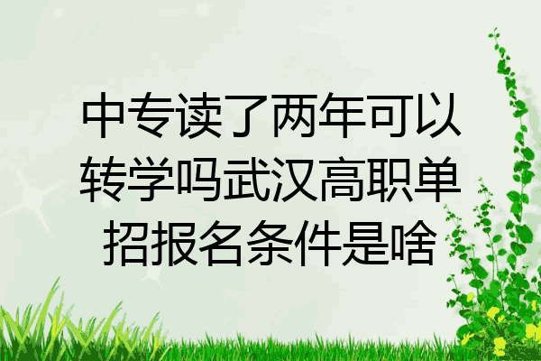中专读了两年可以转学吗武汉高职单招报名条件是啥