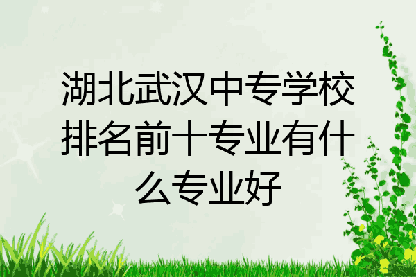 湖北武汉中专学校排名前十专业有什么专业好