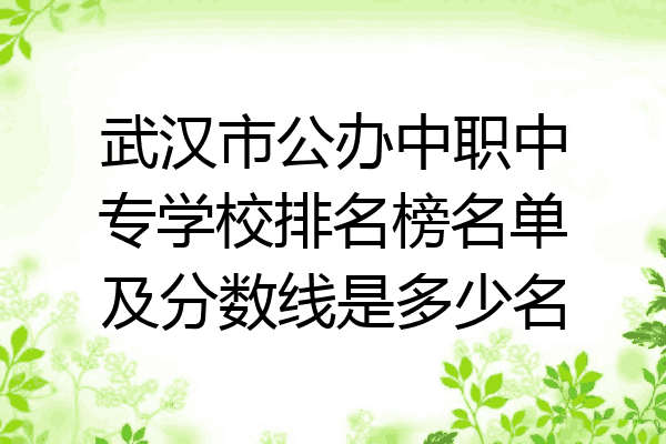 武汉市公办中职中专学校排名榜名单及分数线是多少名