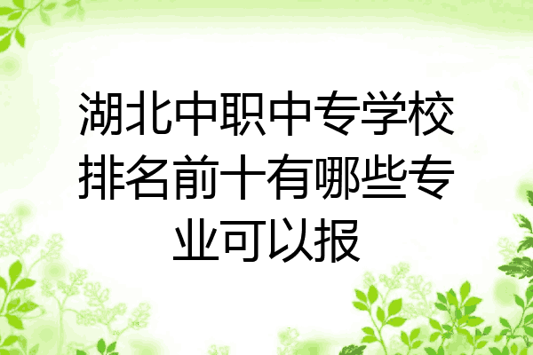 湖北中职中专学校排名前十有哪些专业可以报