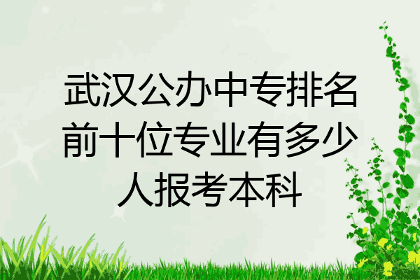 武汉公办中专排名前十位专业有多少人报考本科