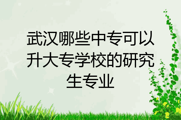 武汉哪些中专可以升大专学校的研究生专业