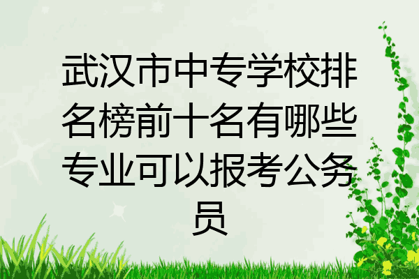 武汉市中专学校排名榜前十名有哪些专业可以报考公务员