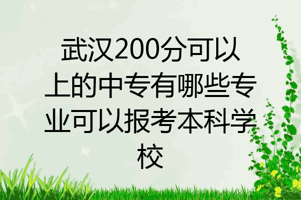 武汉200分可以上的中专有哪些专业可以报考本科学校