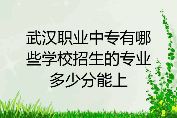 武汉职业中专有哪些学校招生的专业多少分能上