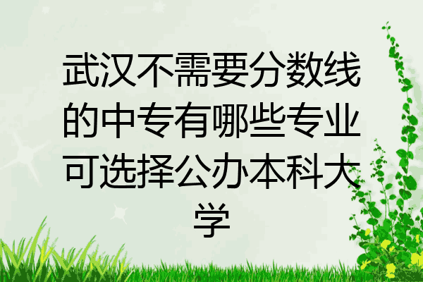 武汉不需要分数线的中专有哪些专业可选择公办本科大学
