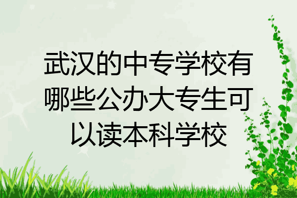 武汉的中专学校有哪些公办大专生可以读本科学校