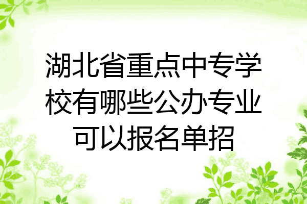 湖北省重点中专学校有哪些公办专业可以报名单招