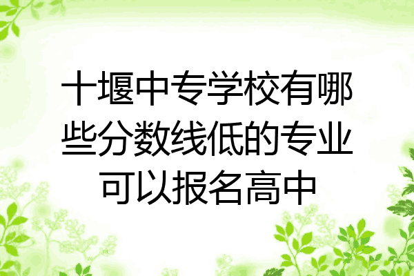 十堰中专学校有哪些分数线低的专业可以报名高中
