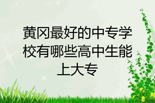 黄冈最好的中专学校有哪些高中生能上大专