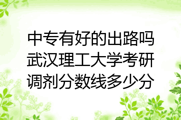 中专有好的出路吗武汉理工大学考研调剂分数线多少分
