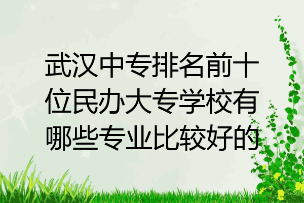 武汉中专排名前十位民办大专学校有哪些专业比较好的