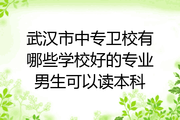 武汉市中专卫校有哪些学校好的专业男生可以读本科