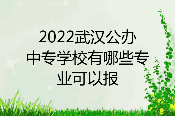 2022武汉公办中专学校有哪些专业可以报