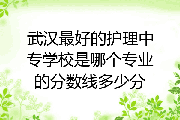 武汉最好的护理中专学校是哪个专业的分数线多少分