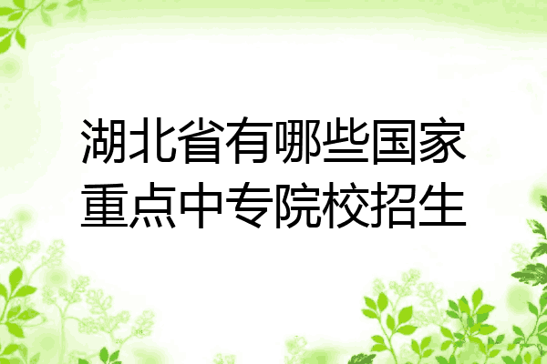 湖北省有哪些国家重点中专院校招生