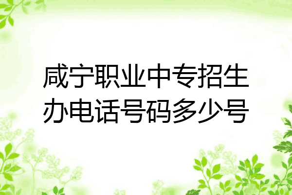 咸宁职业中专招生办电话号码多少号
