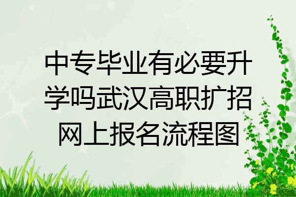 中专毕业有必要升学吗武汉高职扩招网上报名流程图