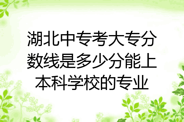 湖北中专考大专分数线是多少分能上本科学校的专业