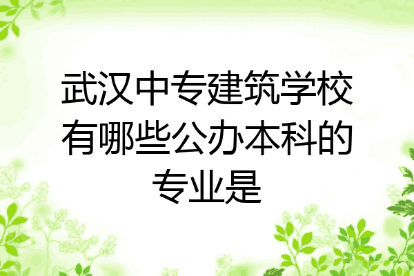 武汉中专建筑学校有哪些公办本科的专业是