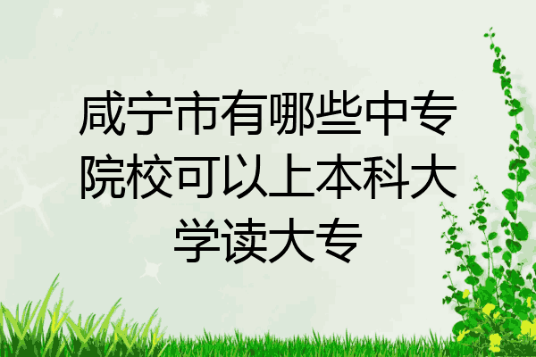 咸宁市有哪些中专院校可以上本科大学读大专