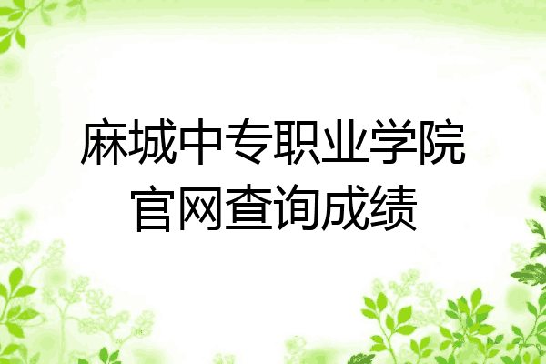 麻城中专职业学院官网查询成绩